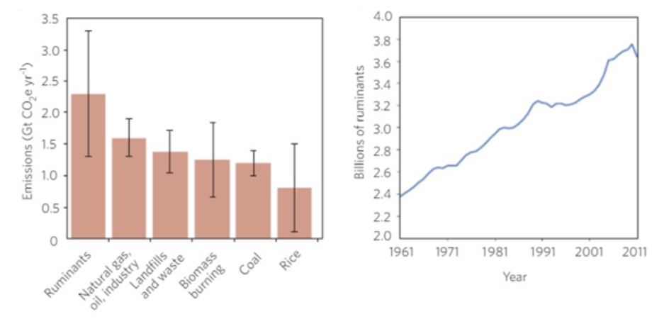 Screen Shot 2019 10 09 At 16.35.28