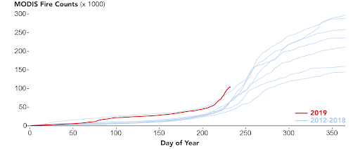 Amazon Fires Are Over Hyped