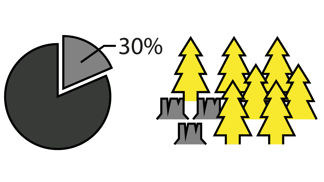 Screen Shot 2020 07 21 At 13.15.11