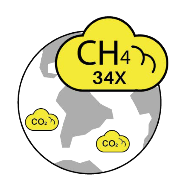 Screen Shot 2020 08 12 At 13.54.53