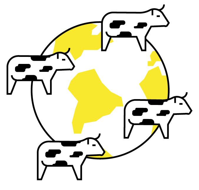 Screen Shot 2020 08 12 At 13.56.58