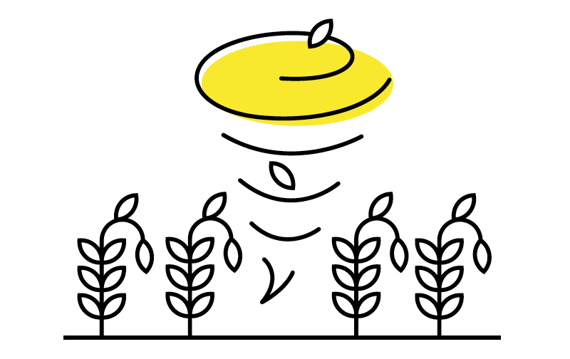 Screen Shot 2020 08 13 At 14.08.45