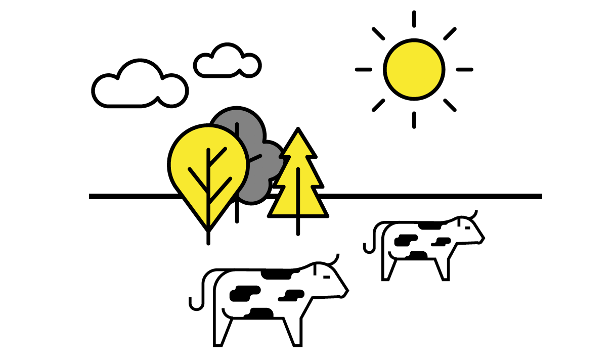 Screen Shot 2020 08 13 At 14.17.21