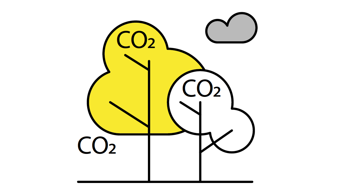 Screen Shot 2020 08 13 At 14.19.34