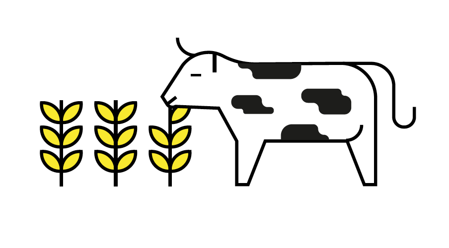 Screen Shot 2020 08 13 At 21.54.24