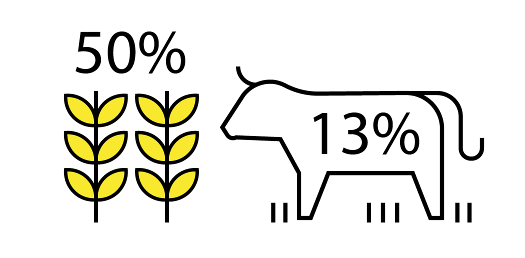 Screen Shot 2020 08 13 At 21.55.22